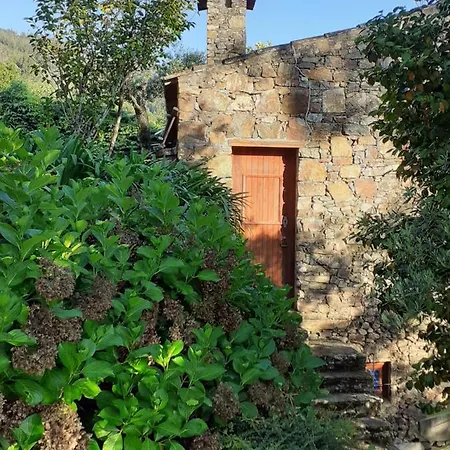 Casa Do Tojo E Rosmaninho Сasa de vacaciones Ferreira do Zêzere