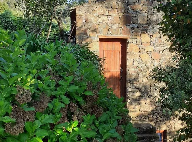 Casa Do Tojo E Rosmaninho 別荘 Ferreira do Zêzere