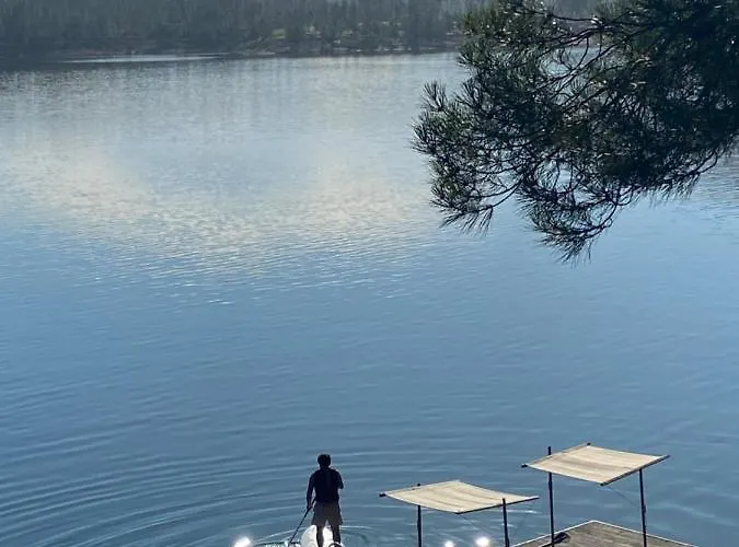 Casa Do Tojo E Rosmaninho 別荘 *